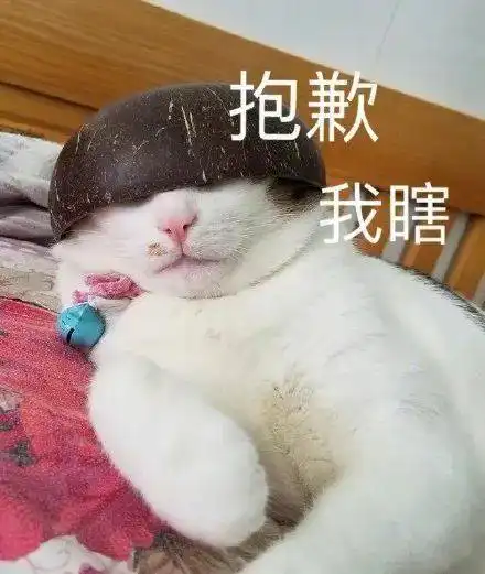 你的确是个废物
