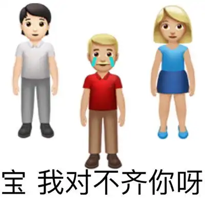 宝我错了接受你的劈苹全新老婆奴道歉专用表情包
