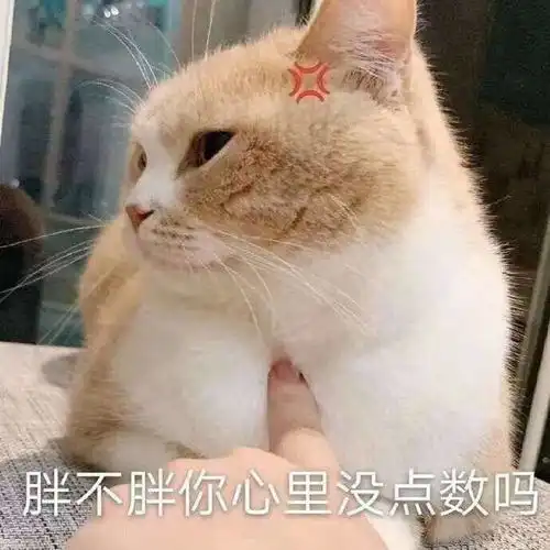 斗图必备表情包哪里有妹妹
