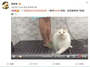 涨姿势虽然你平时喜欢用喵星人的表情包,但他们的名字你都知道吗
