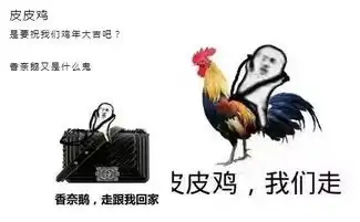 骑这个,比骑皮皮虾更过瘾
