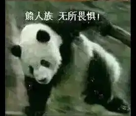 求此系列的表情包,熊猫的
