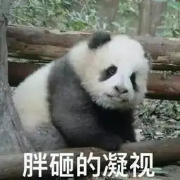 e句话头条注意啦,e姐要包场请你看电影现场还有神秘大礼包
