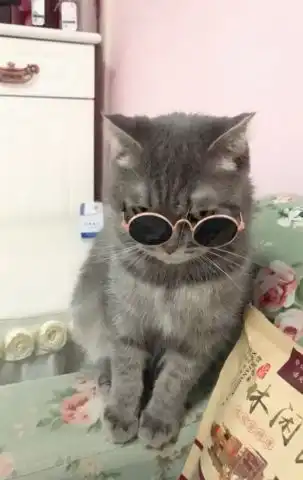 猫咪cosplay吴亦凡,推眼镜动作简直神同步
