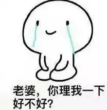 老婆我错了跪下表情包大全
