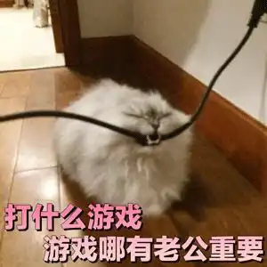 让男朋友融化的超甜表情包

