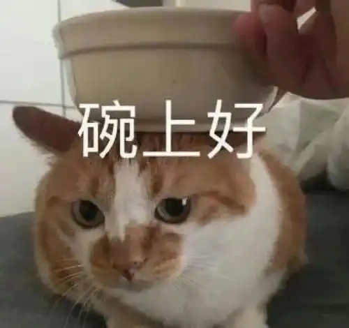 轻松一刻请教,怎么才能和旁边的妹子自然搭讪
