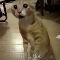 输光了一身轻松表情包微信头像图片大全
