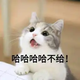 王者荣耀猫咪表情包请尽情吩咐妲己主人
