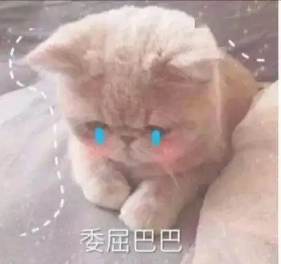 震惊自行车队
