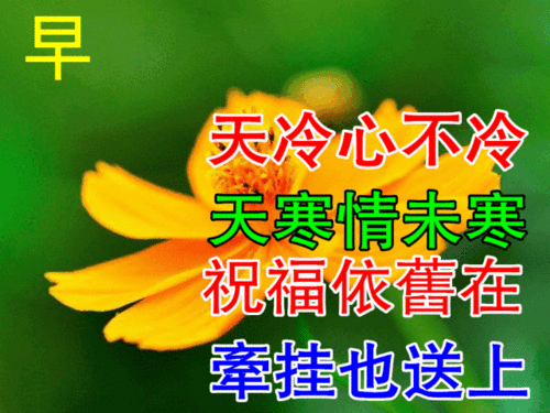 元旦新早上好动态表情图片大全集,祝大家早晨好健康快乐表情图片大全
