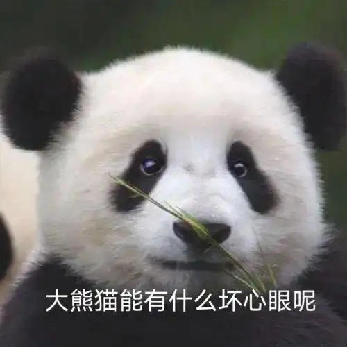 抖音热门表情包
