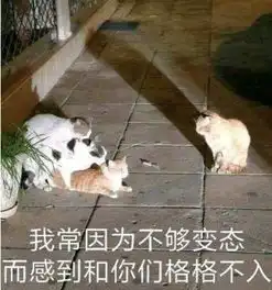 加拿大留学生退租后住处震惊全网表面上光鲜亮丽,实际上...留学生真要背这锅吗
