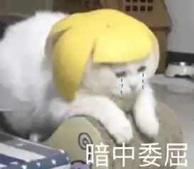 联想预热骁龙865ppt首发早已被8848拿下
