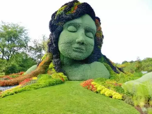 全世界最牛的植物园,你觉得呢
