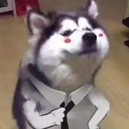 秋招宣讲会你该不该去
