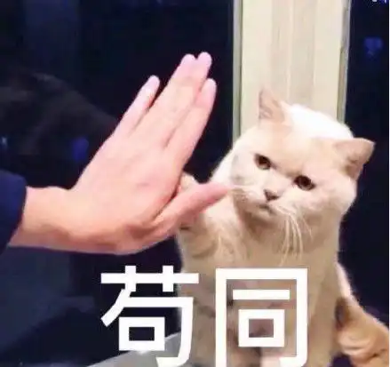 qq聊天专用的怼人表情好久没揍你,是不是皮痒了
