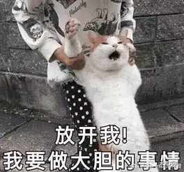 在布里斯班像local一样玩耍part.1
