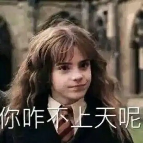 当哈利波特全员看到自己的表情包
