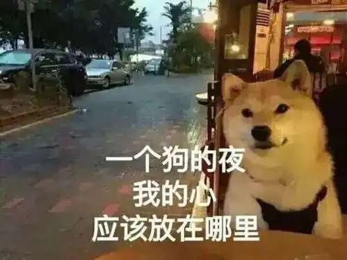 南大十种油腻情侣,你是哪一种
