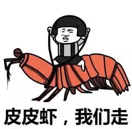 你们还在骑皮皮虾的时候,我已经把它吃掉了
