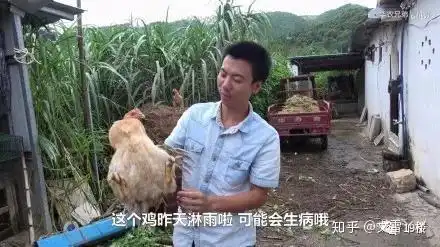 华农兄弟养竹鼠,都是戏精
