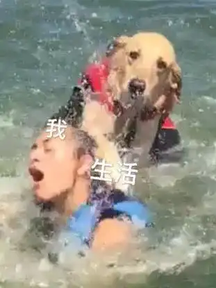 夏日凉爽秘笈,请注意查收
