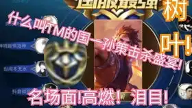 王者荣耀孙策猫狗日记星辰天使圣诞麋鹿两套星元齐了满足
