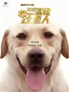告别速成脱单攻略红娘汪带你玩转520联谊嗨趴
