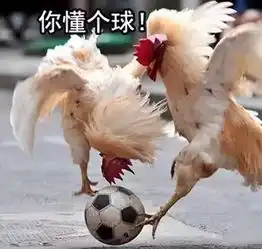 鸡年要用对表情包,重庆言子版鸡年表情包爆笑来袭
