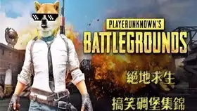 绝地求生大逃杀wtf国外精彩搞笑视频集锦二十一
