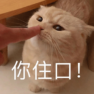 表情包你的绿帽子掉了

