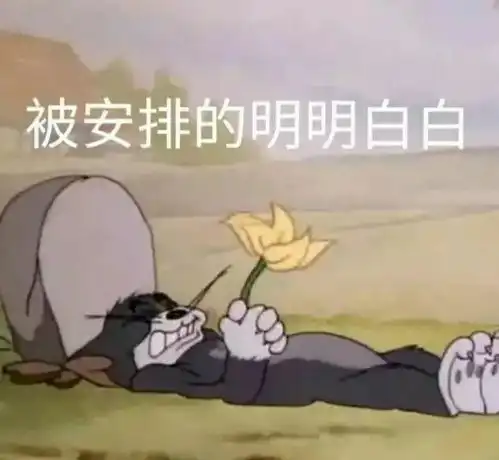 有什么最搞笑的文案
