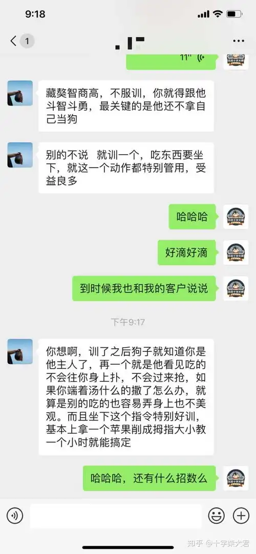 表情购买柴犬如何防骗怎么样识别黑心犬舍表情
