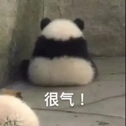 闭上你的狗嘴,ok丨第137期喵表情