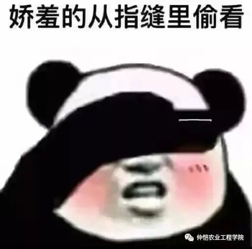 今天,是我们相识相恋的100天纪念日
