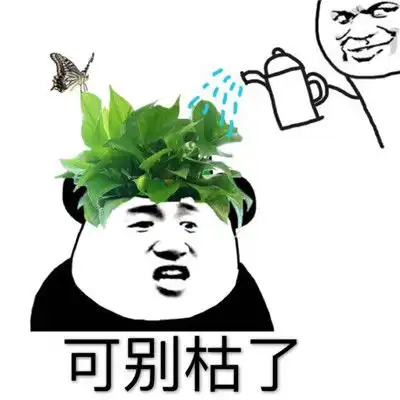 绿帽子表情包斗图专用抖音最火戴绿帽表情包大全
