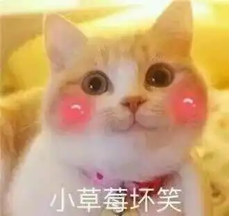 猫除了用来吸,还能干什么吗
