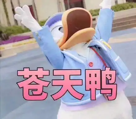 80烤鸭会陷入的单词低效区
