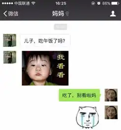 大学生跟爸妈聊天的表情包
