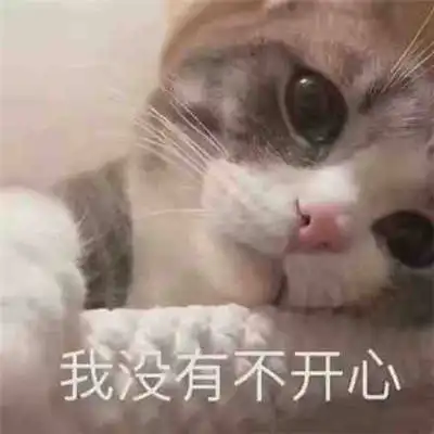 请允许我做一个悲伤的表情包
