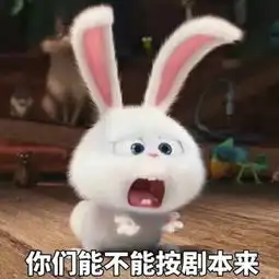 动画表情搞笑兔子