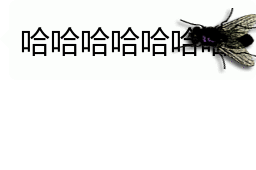表情包去努力做困难且正确的事

