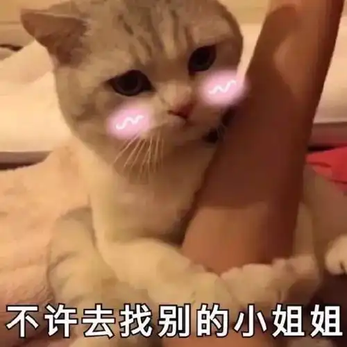 跟人撒娇专用表情包大全,收藏吧终有一天你用得着,哈哈
