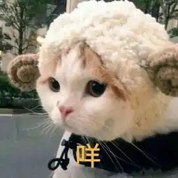 湘囧湖南长沙黄龙洞天门山六天游
