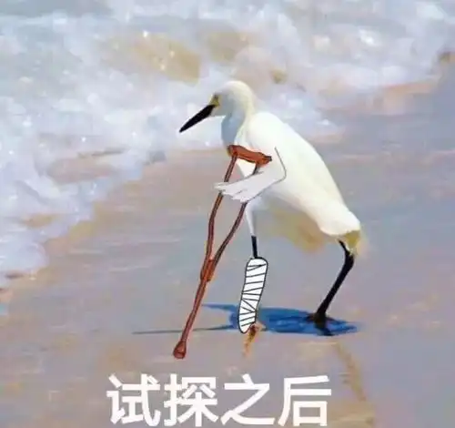 2017年度表情包大赏假笑boy边缘试探.南宁人你最爱的是