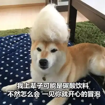 没事表情包土味柴犬