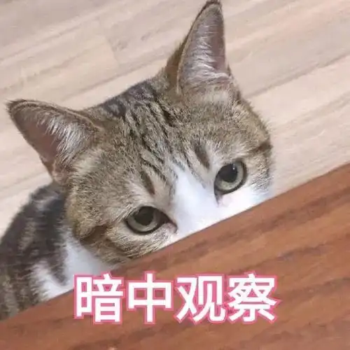 发育宝不是老实人送检结果在这

