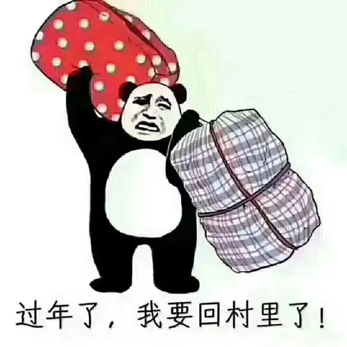 回家过年

