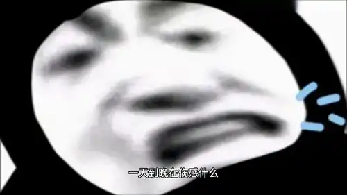 熊猫头表情包第一次剪这玩意儿,不太懂,但是表情包好玩
